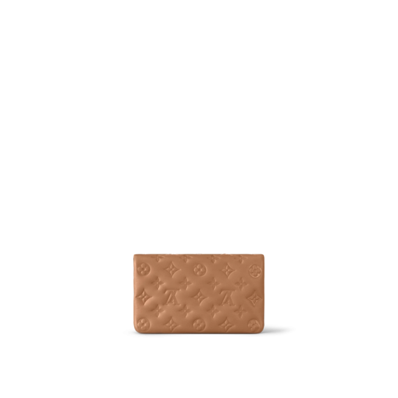 Louis Vuitton Pochette Coussin