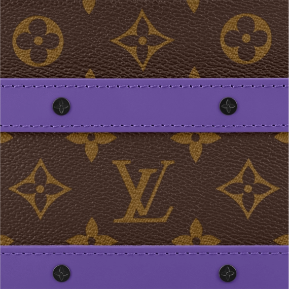 Louis Vuitton Handle Soft Trunk