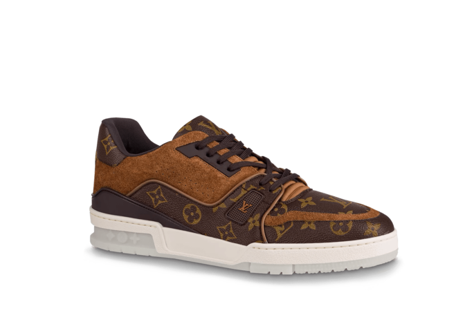 Buy the new Louis Vuitton Trainer Sneaker Ebene for men!