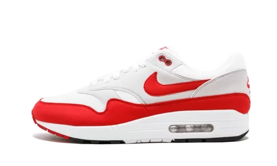 Air Max 1 Anniversary - Anniversary