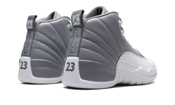 Air Jordan 12 - Stealth