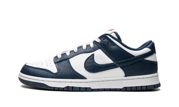 Dunk Low Retro - USA