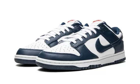 Dunk Low Retro - USA