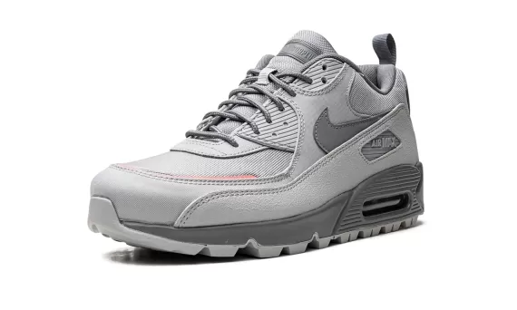 Air Max 90 Surplus - Wolf Grey / Pink Salt